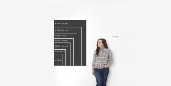 Promotional Posters - Image 2